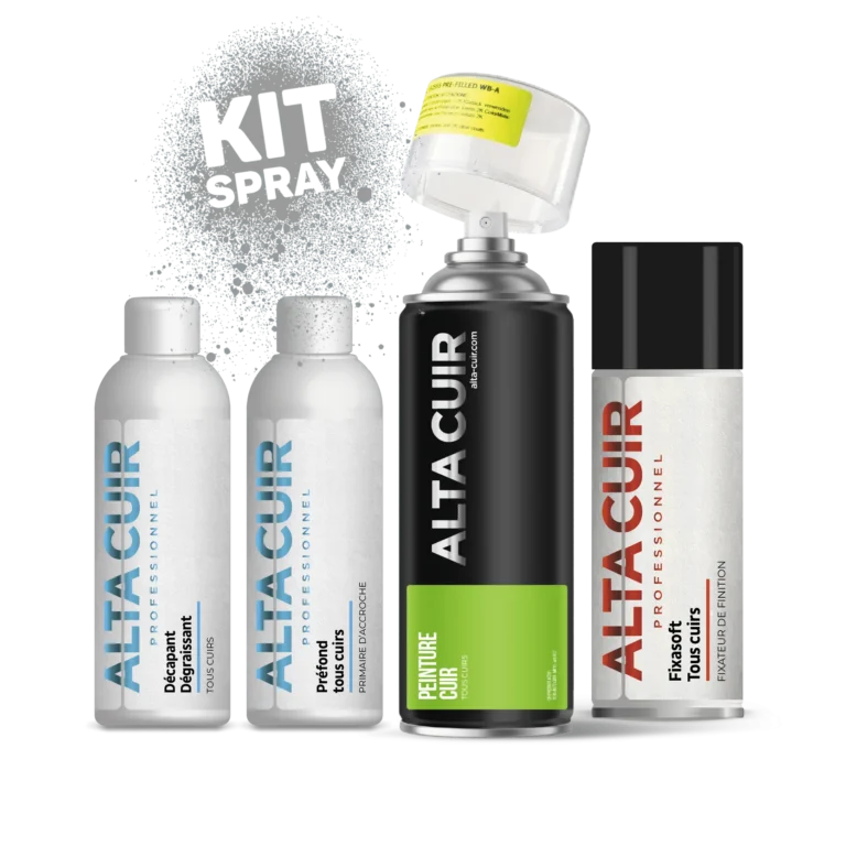 Kit coloration cuir auto en bombe